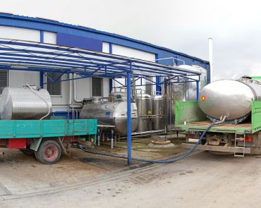 Dairy Product Factory